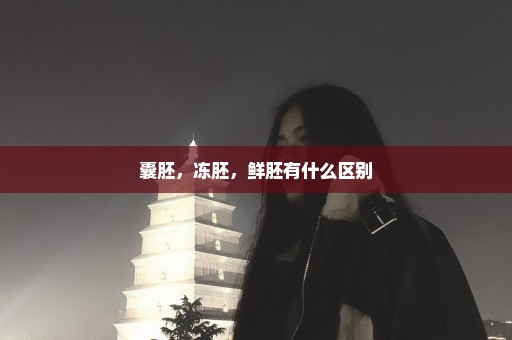 囊胚，冻胚，鲜胚有什么区别