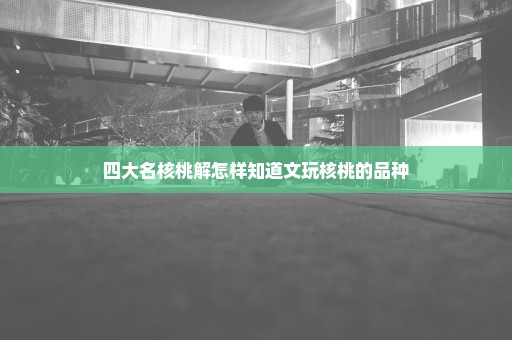 四大名核桃解怎样知道文玩核桃的品种