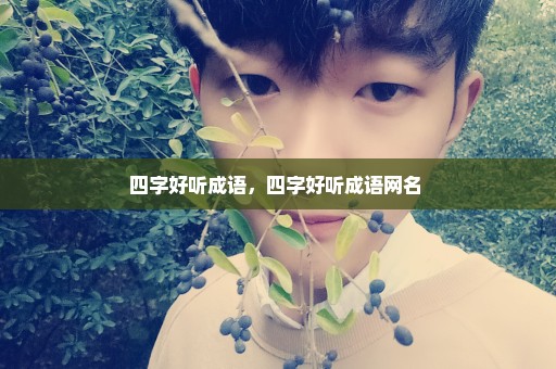 四字好听成语，四字好听成语网名 