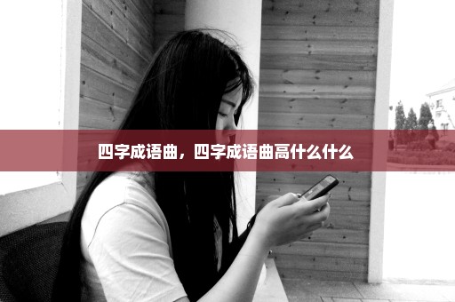 四字成语曲，四字成语曲高什么什么 