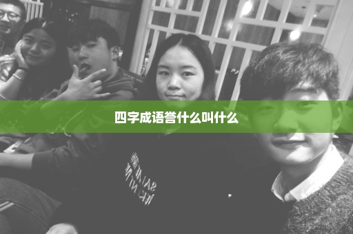 四字成语誉什么叫什么
