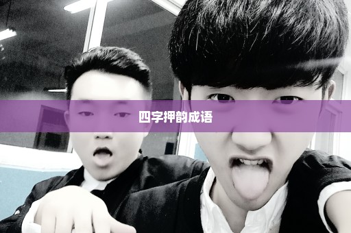 四字押韵成语