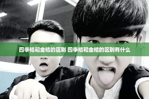 四季桔和金桔的区别 四季桔和金桔的区别有什么