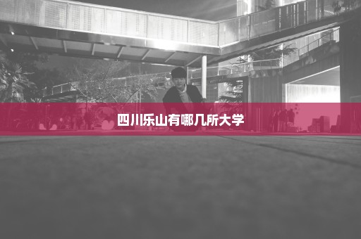 四川乐山有哪几所大学