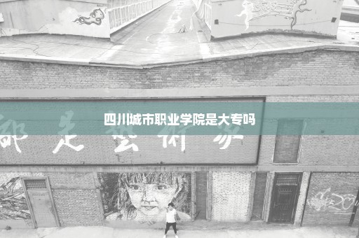 四川城市职业学院是大专吗