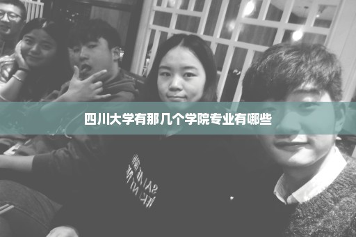 四川大学有那几个学院专业有哪些