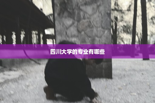 四川大学的专业有哪些