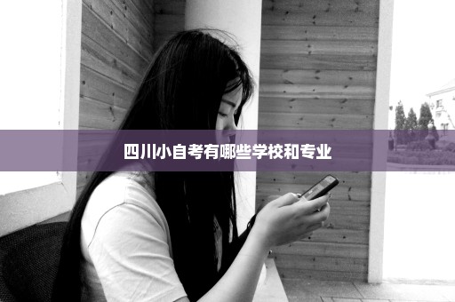 四川小自考有哪些学校和专业