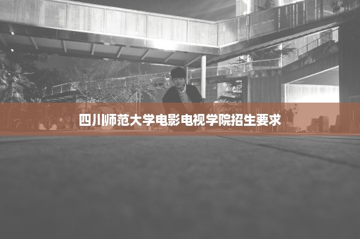 四川师范大学电影电视学院招生要求