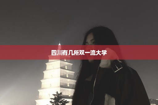 四川有几所双一流大学