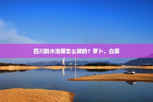四川跳水泡菜怎么做的？萝卜，白菜