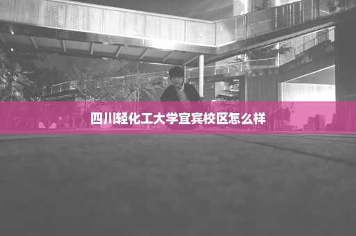 四川轻化工大学宜宾校区怎么样