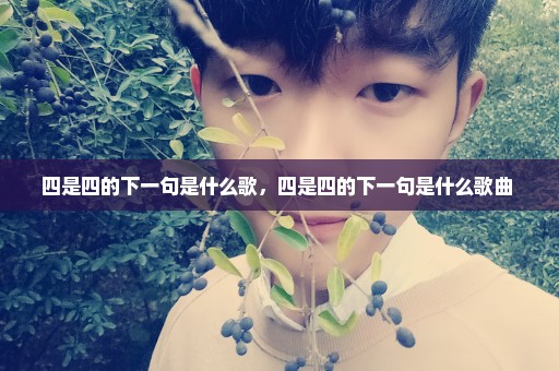四是四的下一句是什么歌，四是四的下一句是什么歌曲 