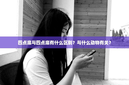 四点底与四点底有什么区别？与什么动物有关？