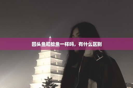回头鱼和鲶鱼一样吗，有什么区别