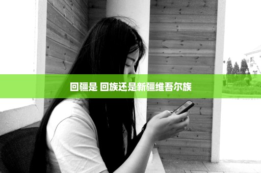 回疆是 回族还是新疆维吾尔族