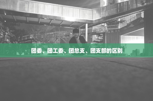 团委、团工委、团总支、团支部的区别