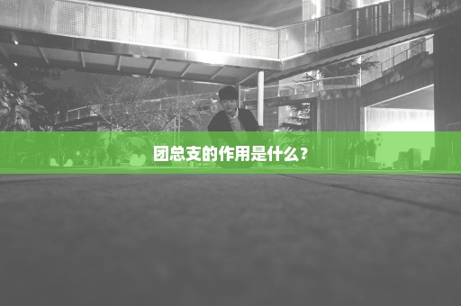 团总支的作用是什么？
