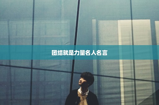 团结就是力量名人名言