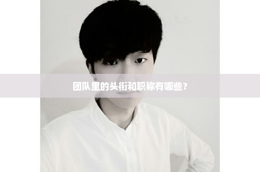 团队里的头衔和职称有哪些？