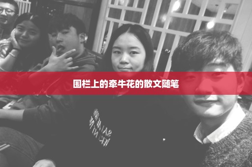 围栏上的牵牛花的散文随笔