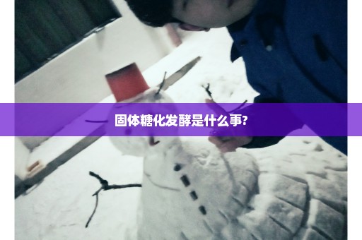 固体糖化发酵是什么事?