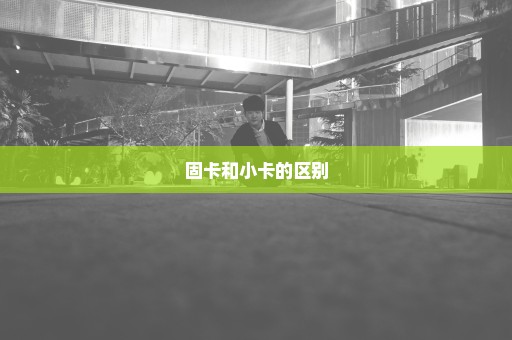 固卡和小卡的区别