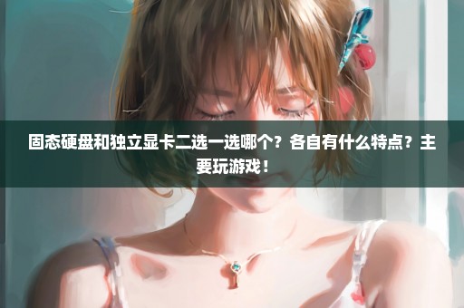 固态硬盘和独立显卡二选一选哪个？各自有什么特点？主要玩游戏！