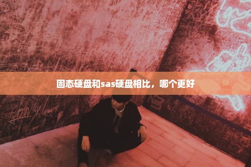 固态硬盘和sas硬盘相比，哪个更好