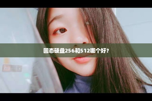 固态硬盘256和512哪个好？