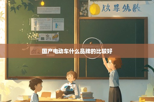 国产电动车什么品牌的比较好