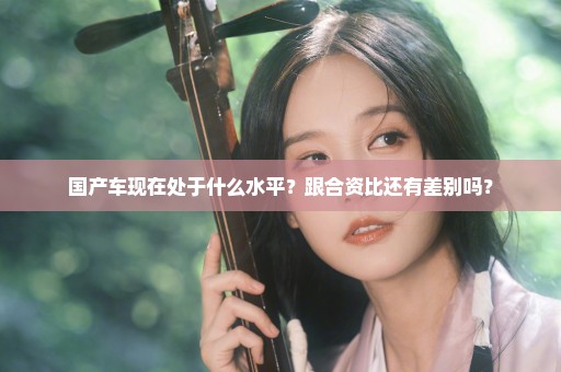 国产车现在处于什么水平？跟合资比还有差别吗？