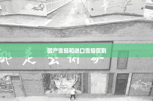 国产雪茄和进口雪茄区别