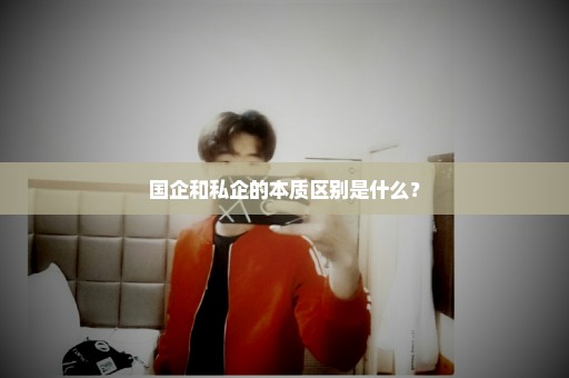 国企和私企的本质区别是什么？