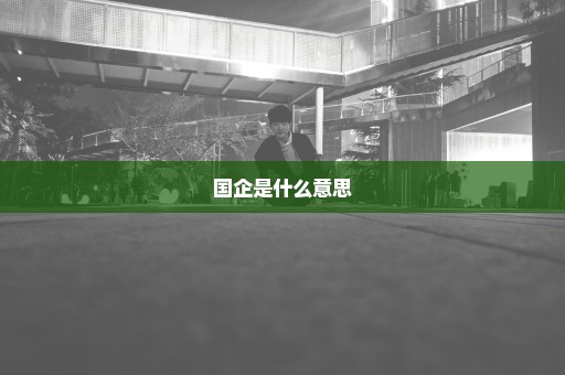 国企是什么意思