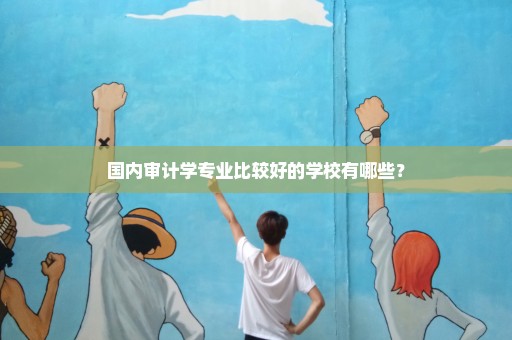 国内审计学专业比较好的学校有哪些？