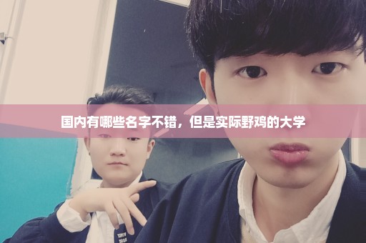国内有哪些名字不错，但是实际野鸡的大学