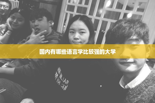 国内有哪些语言学比较强的大学