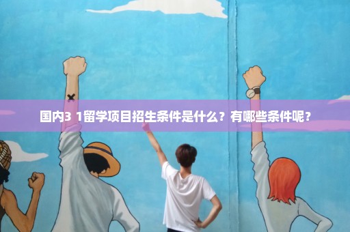 国内3+1留学项目招生条件是什么？有哪些条件呢？