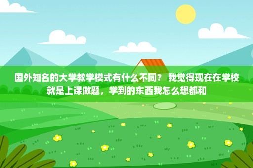 国外知名的大学教学模式有什么不同？ 我觉得现在在学校就是上课做题，学到的东西我怎么想都和