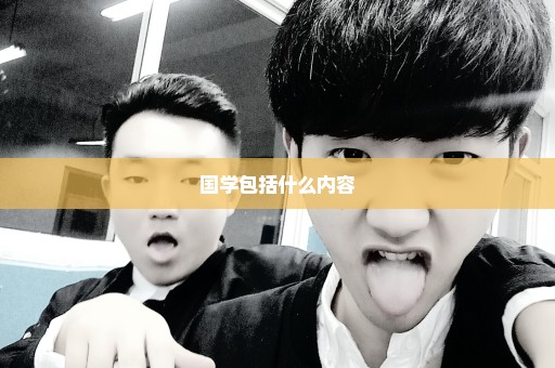 国学包括什么内容