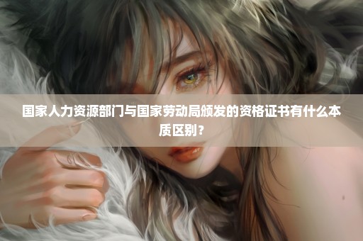 国家人力资源部门与国家劳动局颁发的资格证书有什么本质区别？