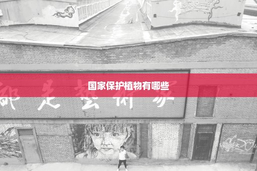 国家保护植物有哪些