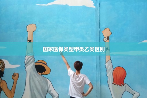 国家医保类型甲类乙类区别