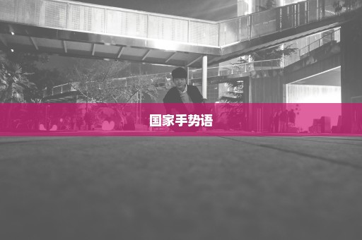 国家手势语