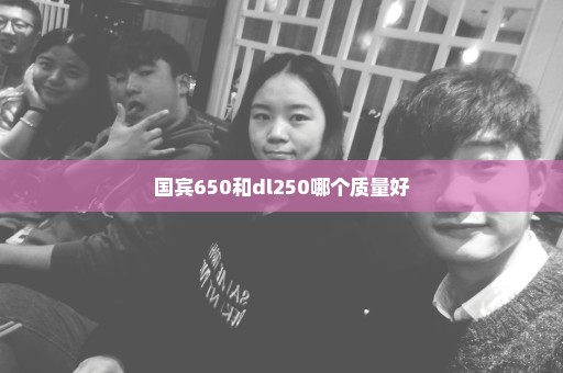 国宾650和dl250哪个质量好