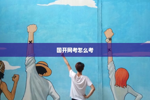 国开网考怎么考