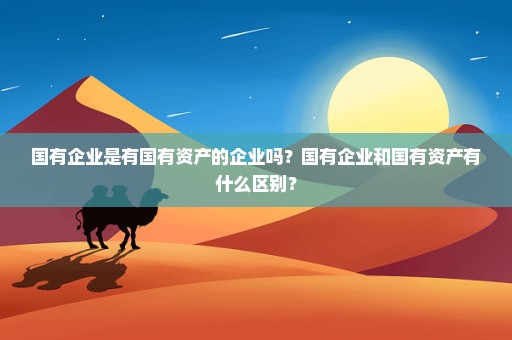 国有企业是有国有资产的企业吗？国有企业和国有资产有什么区别？