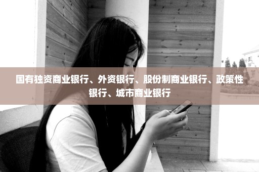 国有独资商业银行、外资银行、股份制商业银行、政策性银行、城市商业银行