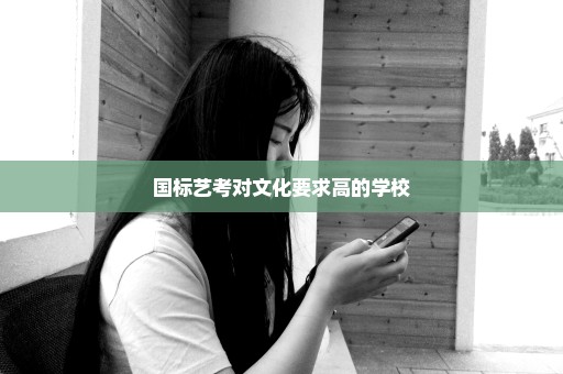 国标艺考对文化要求高的学校